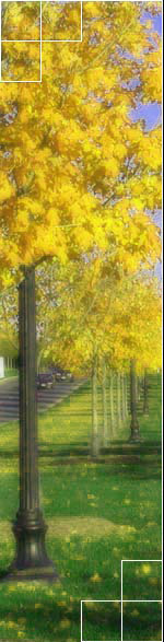 Dementia Care Services, Parkinsons Care, Senior Health Care, Senior Care, Low Cost Senior Home Care, Quality Health Care, Emergency Medicine, Home Care Service